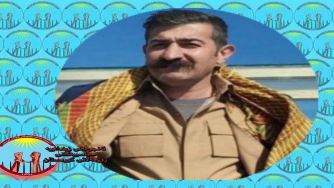 photo_2025-10-28_23-26-50